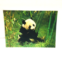 Panda Animal 3-D 3D Postcard Unposted Wonder Co. 1970s Vintage Printed Japan - £18.64 GBP