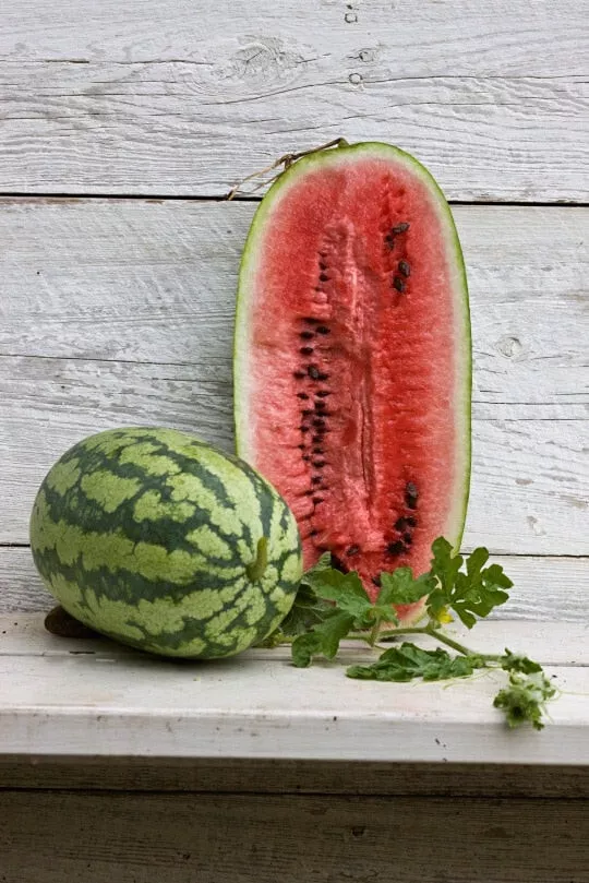 Semilir 50 Georgia Rattlesnake Watermelon Seeds For Planting Vegetable S... - £8.94 GBP