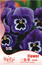 Fresh 60 Seed/ Pack Giant Blue Pansy Herbs Trinity Hardy Plants Flowers - £16.60 GBP