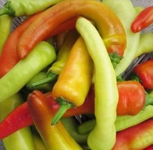 150 Hungarian Wax Hot Pepper Seeds, Hot Banana Pepper, Non Gmo Heirloom - £3.61 GBP