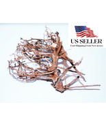 NATURAL DRIFTWOOD #BS003 WYSIWYG - AQUASCAPING, SUPER PRICE!!! BONSAI TR... - €50,64 EUR