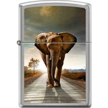 Zippo Lighter - Elephant Brushed Chrome - 854731 - £21.55 GBP