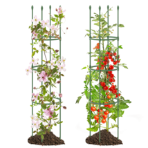 2-Pack Garden Trellis Tomato Cage with Adjustable Height-Green - $72.99