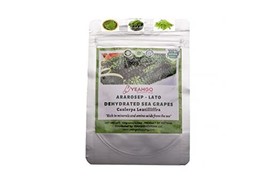 Yeahgoshopping Organic Dried Sea Grapes / Seaweed / Dehydrated Caulerpa Lentilli - £19.84 GBP