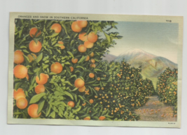 Oranges And Snow In Southern California 1940&#39;s Color Linen Vintage Postcard - £6.02 GBP