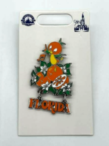 Disney Parks WDW 50th Anniversary Orange Bird Florida Vault Collection Pin 2022 - £15.81 GBP