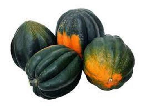 Table King Bush Acorn Winter Squash Seed Very Prolific US Fast Shipping - $37.40 MXN