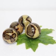 Item image 15