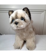 Vintage Avanti Plush Himalayan kitten Cat grey Stuffed Animal lifelike w... - £24.07 GBP