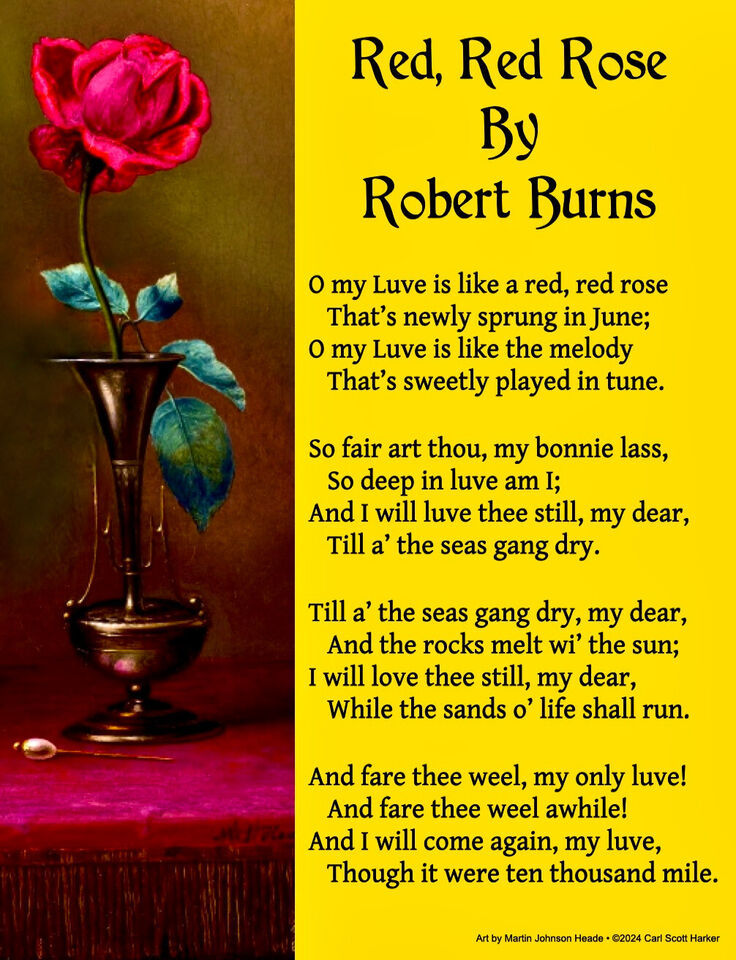 Red, Red Rose Robert Burns 8.5x11" Photo Print Love Poem Poster Famous Poetry