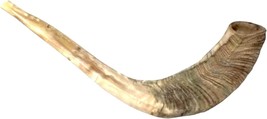 Ancient Jewish Musical Instrument: Odorless Ram&#39;S Horn Shofar | Smooth, 10). - £33.24 GBP