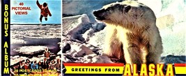 Alaska - 20 Color Picture Postcards &amp; Bonus Book - $14.00
