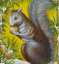 Gray Brown Squirrel Eating Nut Pinecones Thanksgiving Postcard Amenia NY 1913 - £12.65 GBP