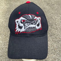 Angry Wisconsin Badger Zephyr Z Hat Fitted Wool Blend Black Hat Size 6 3/4 - £12.94 GBP