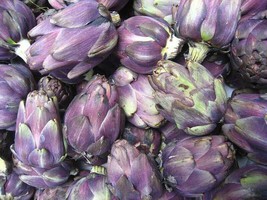 50 pcs Purple Romagna Artichoke Italian Cynara Scolymus Flower Vegetable Seeds - £7.07 GBP