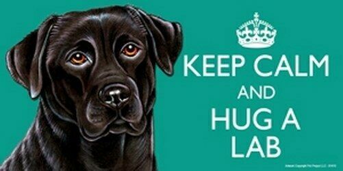 KEEP CALM AND HUG A (Black) LAB Color Car Fridge Dog Magnet NEW 4x8 Wate... - $6.76