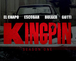Kingpin Season 1 DVD | El Chapo, Escobar, Bulger, Gotti - $16.21