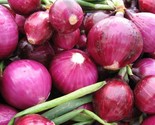 400 Seeds Red Grano Sweet Onion Seeds Short Day Organic Spring Fall Vege... - $8.99