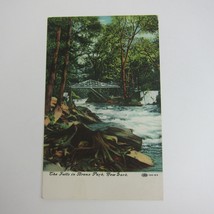 Postcard New York City The Falls In Bronx Park Antique Unposted Rare - £11.98 GBP