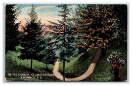 Canyon at Lincoln Park Tacoma Washington WA UNP DB Postcard V18 - £5.91 GBP