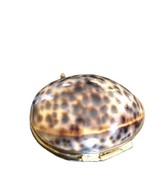 Tiger Cowrie Shell Hinged Trinket Coin  Box Purse - $18.70