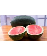 50+ Black Diamond Watermelon Seeds | Sweet &amp; Juicy Heirloom Melons - $303.77 MXN