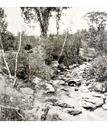 Somerset County Brook And Moss Maine 1924 Gravure Print New England DWT8B - $27.15 CAD