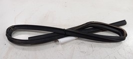 Dodge Journey Door Glass Window Seal Rubber Right Passenger Rear Back 20... - £35.51 GBP