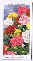 Wills Cigarette Card Garden Flowers #11 Annual Carnation Giant Chabaud Mixed - £0.78 GBP