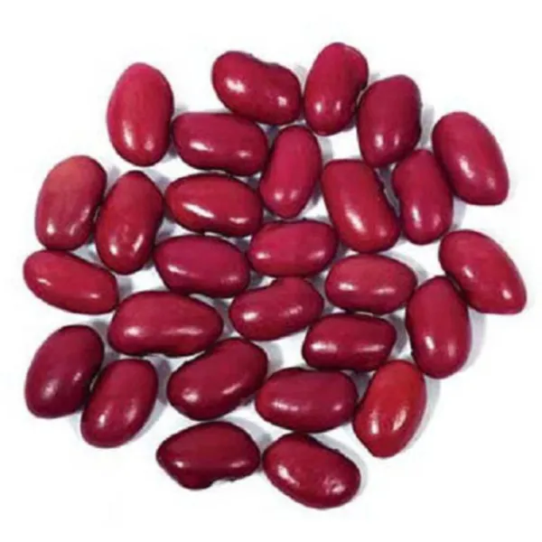 Top Seller 30 Red Kidney Bean Phaseolus Vulgaris Vegetable Seeds - $14.60
