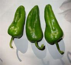 “ 10 SEEDS Famous Spanish Heirloom Padron Pepper, hot chilli GIM “ - £7.88 GBP