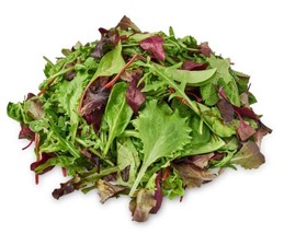 Garden Lettuce Seed Blend - Seeds - Organic &amp; Non Gmo - Heirloom Seeds - Fresh U - £1.76 GBP