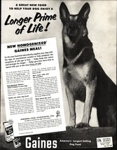Magazine Ad* - 1952 - Gaines Dog Food - German Shepherd d2 - $22.24