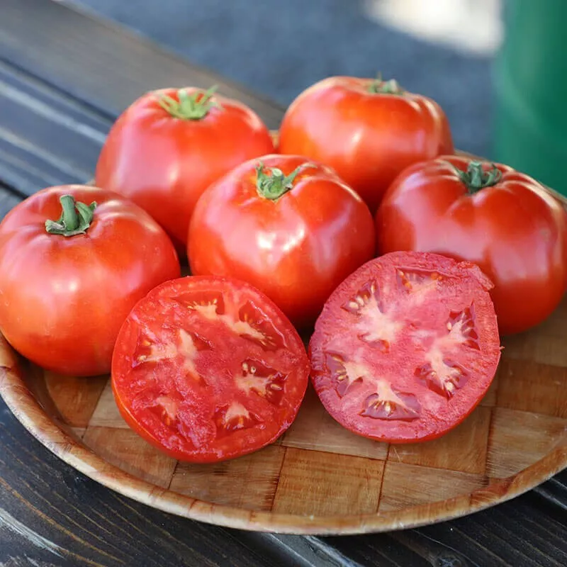 USA SELLER 50 Seeds Skyway Tomato Vegetable Garden Edible Canning Fast Shipping - $15.25