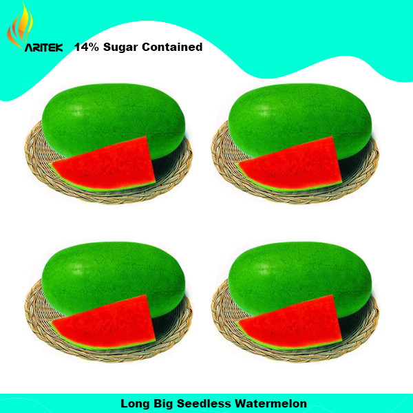 Big Long Red Sweet Seedless Watermelon Organic Heirloom Seeds, Professional Pack - $6.00