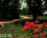 Scena Country Road Greetings Janesville Oasis Wisconsin Wi Cromo Cartoli... - £2.38 GBP