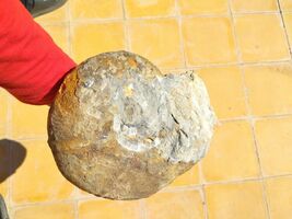 Item image 11