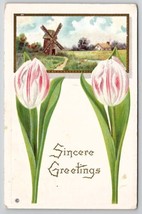 Pretty Tulips And Windmill Davidson Family Of Long Pine NE Postcard A34 - £4.68 GBP