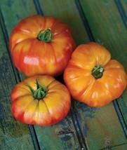 Fresh Seeds 20 Big Rainbow Tomato Seeds Delicious Juicy Tasty - $16.50