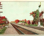 Vtg 1930s Colored Postcard Frisco Lines &quot;Heavy Steel Rails on Sturdy Oak... - $41.53