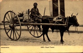 RAPID TRANSIT BOY IN OX CART 1907 RPPC POSTCARD BK67 - $9.41