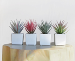 Faux Succulents 7” Tall Set of 4 in Ivory White Stucco Ceramic Pots-Real... - $47.01