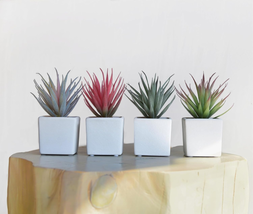 Faux Succulents 7” Tall Set of 4 in Ivory White Stucco Ceramic Pots-Realistic Mu - £37.27 GBP