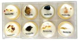 Set of 8 Berocca Plus Lucite Advertising Paperweights Stones Copper Seashell 2&quot; - £27.06 GBP