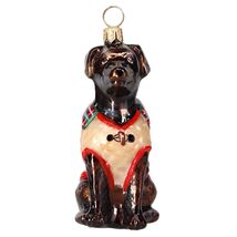 Chocolate Lab in Barbour Coat Polish Glass Ornament Labrador Retriever - $59.38