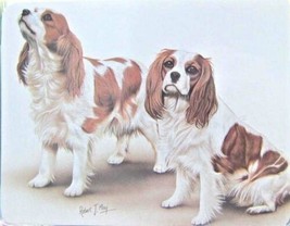 Retired Dog Breed Cavalier King Charles Duo Softcover Address Book By Robert May - £5.52 GBP