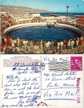 California Wilmington Marineland Porpoises Posted 1960 to Canton Mass. Postcard - £7.39 GBP