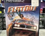 FlatOut (Sony PlayStation 2, 2005) PS2 CIB Complete Tested! - $10.20
