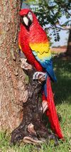 Ebros Tropical Rainforest Red Scarlet Macaw Parrot Perching On Branch St... - $32.95