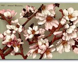 Amande Fleur Blossoms Sur Branche Unp DB Carte Postale Z7 - $3.36